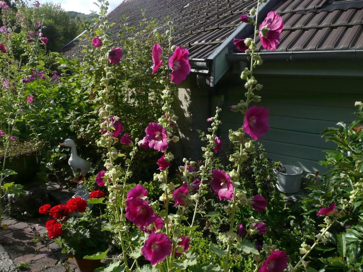 Bed and Breakfast Roulotte La Dominique Romery  Экстерьер фото